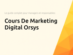 Cours De Marketing Digital Orsys: Le guide complet pour managers et responsables