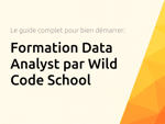 Formation Data Analyst par Wild Code School: Le guide complet pour bien démarrer