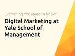 Digital Marketing at Yale School of Management: Everything You Need to Know